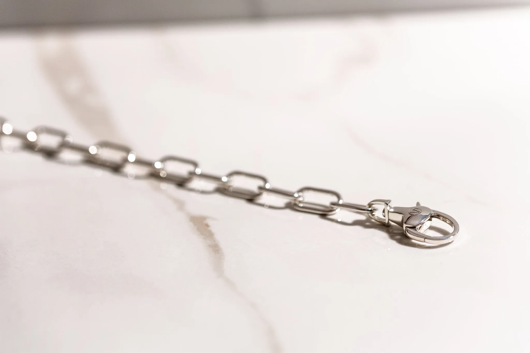 Equestrian Paperclip Chain