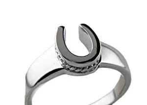 Horseshoe Ring  with a Twist Sterling Silver