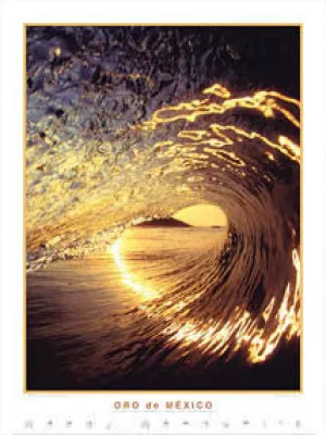 Surfing "Oro de Mexico" Poster Print - Creation Captured